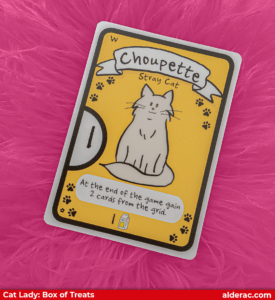 Cat Lady Box of Treats Choupette